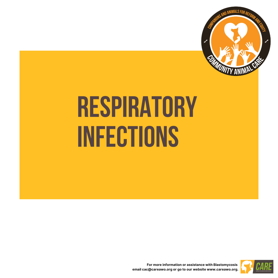 Respiratory Infections Respiratory Infections Educational Handout