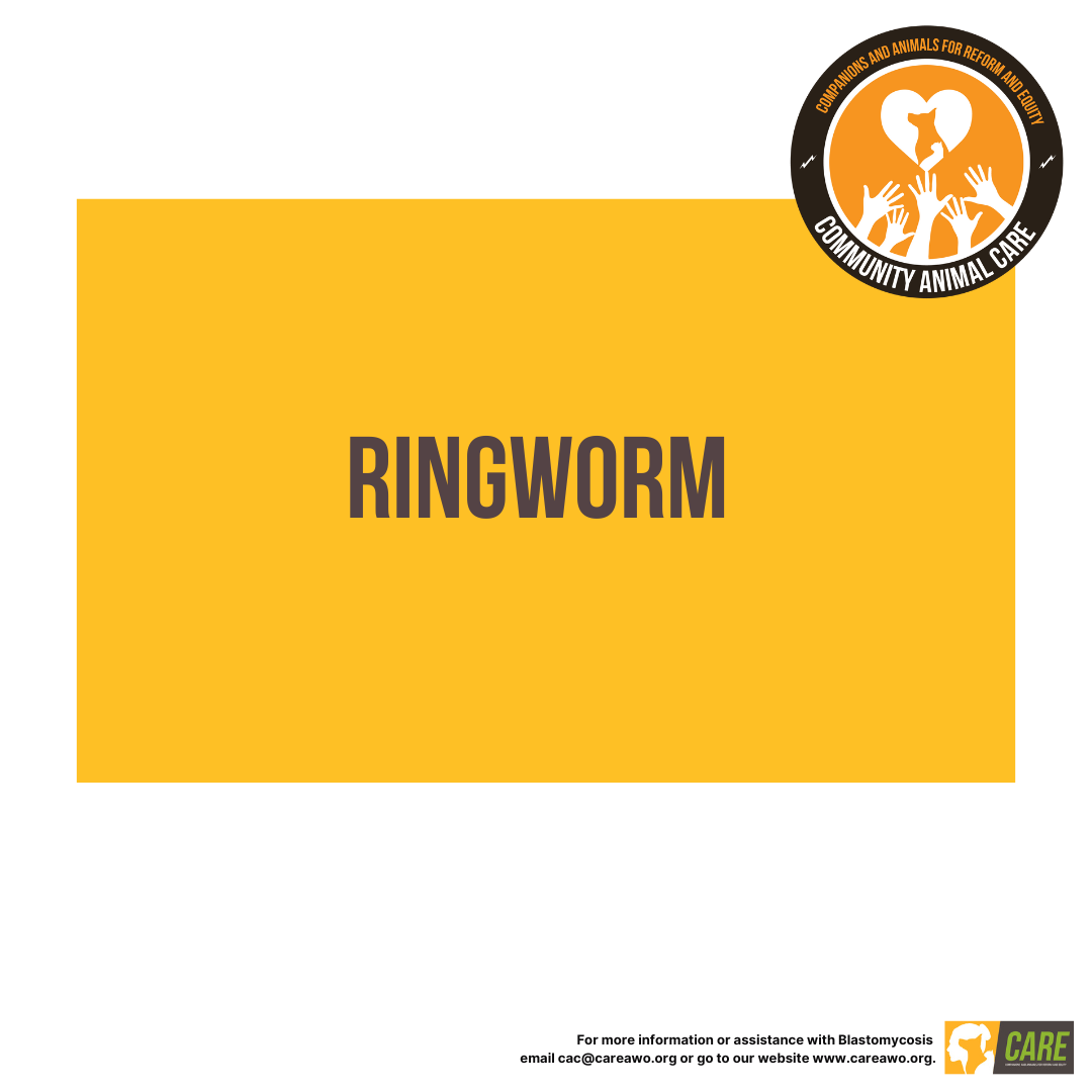 Ringworm Ringworm Educational Handout
