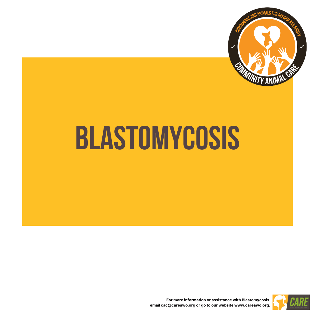 Blastomycosis Blastomycosis Educational Handout