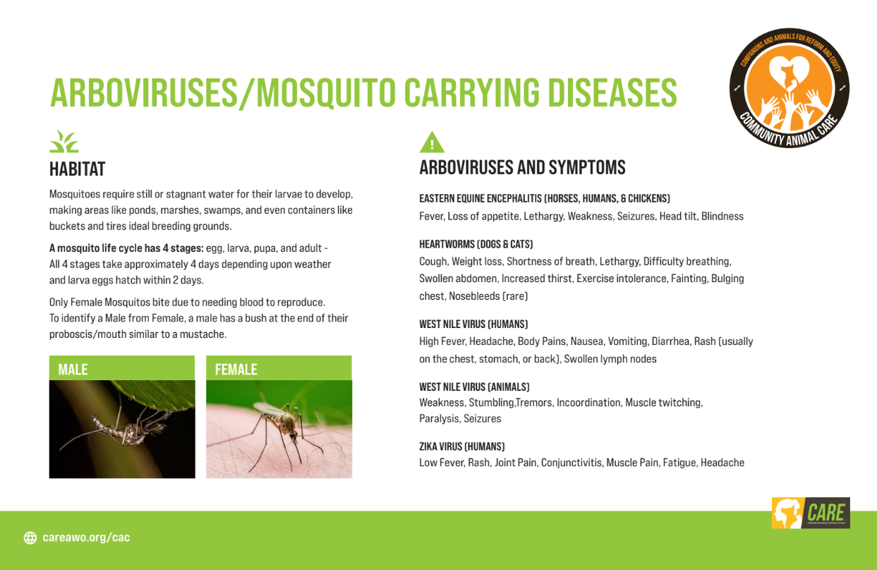 Arboviruses and Mosquitoes Educational Handout - HAW Academy