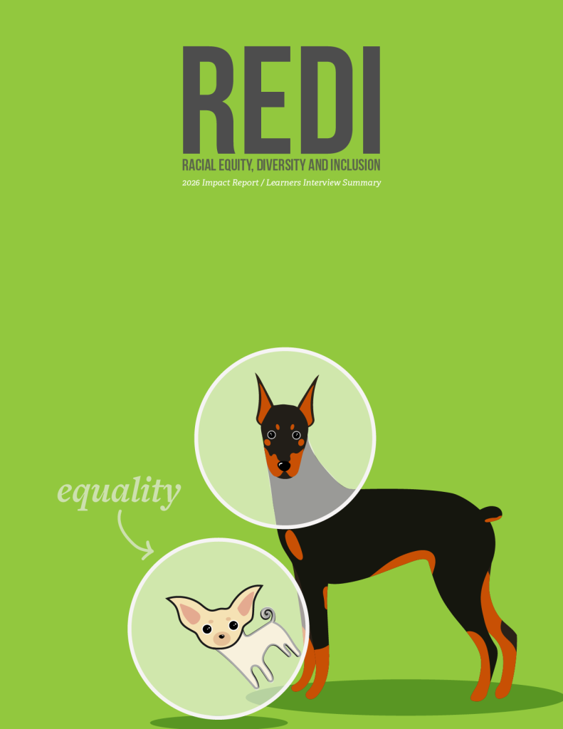 REDI Impact Summary